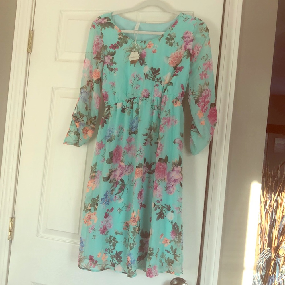 Pink Blush Maternity Dress